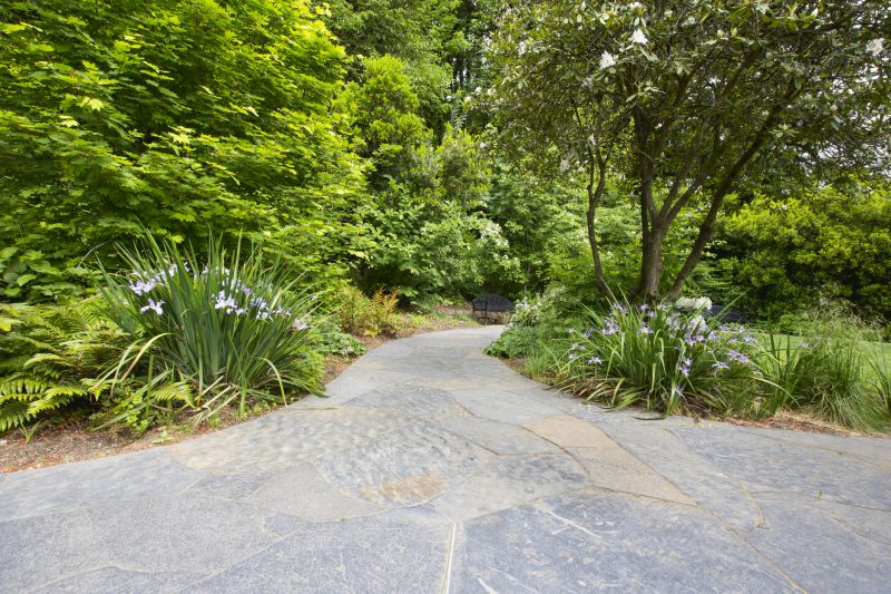 Stone Pathway Design