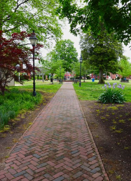 Brick Pathway Repair in Hickory